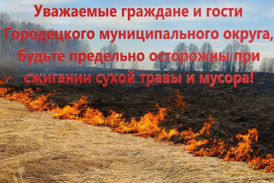 Порядок использования открытого огня и разведения костров на землях сельскохозяйственного назначения и землях населенных пунктов.